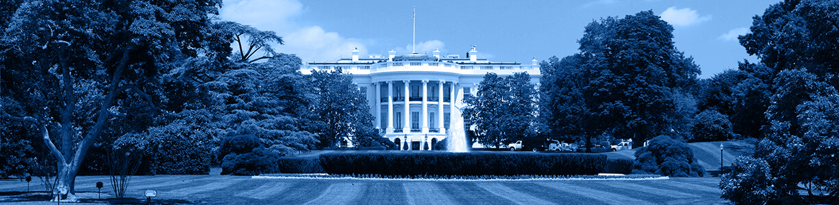 Reddit Scrapes: Unexpected Adult Content in Data Extraction